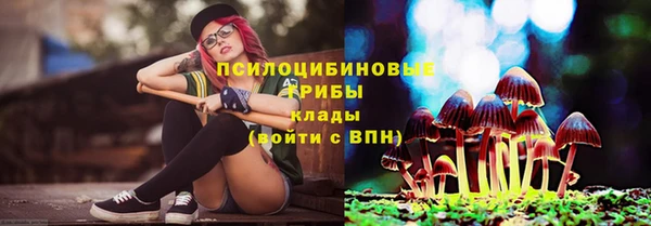 амфетамин Белокуриха